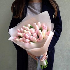 31 рожевий тюльпан