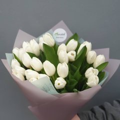 31 белый тюльпан